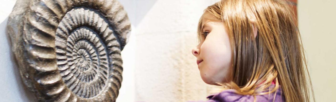 A young girl looks at an ammonite on display in a museum