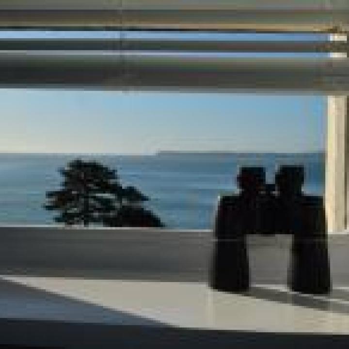 View of Meadfoot Beach from the Hotel Rooms